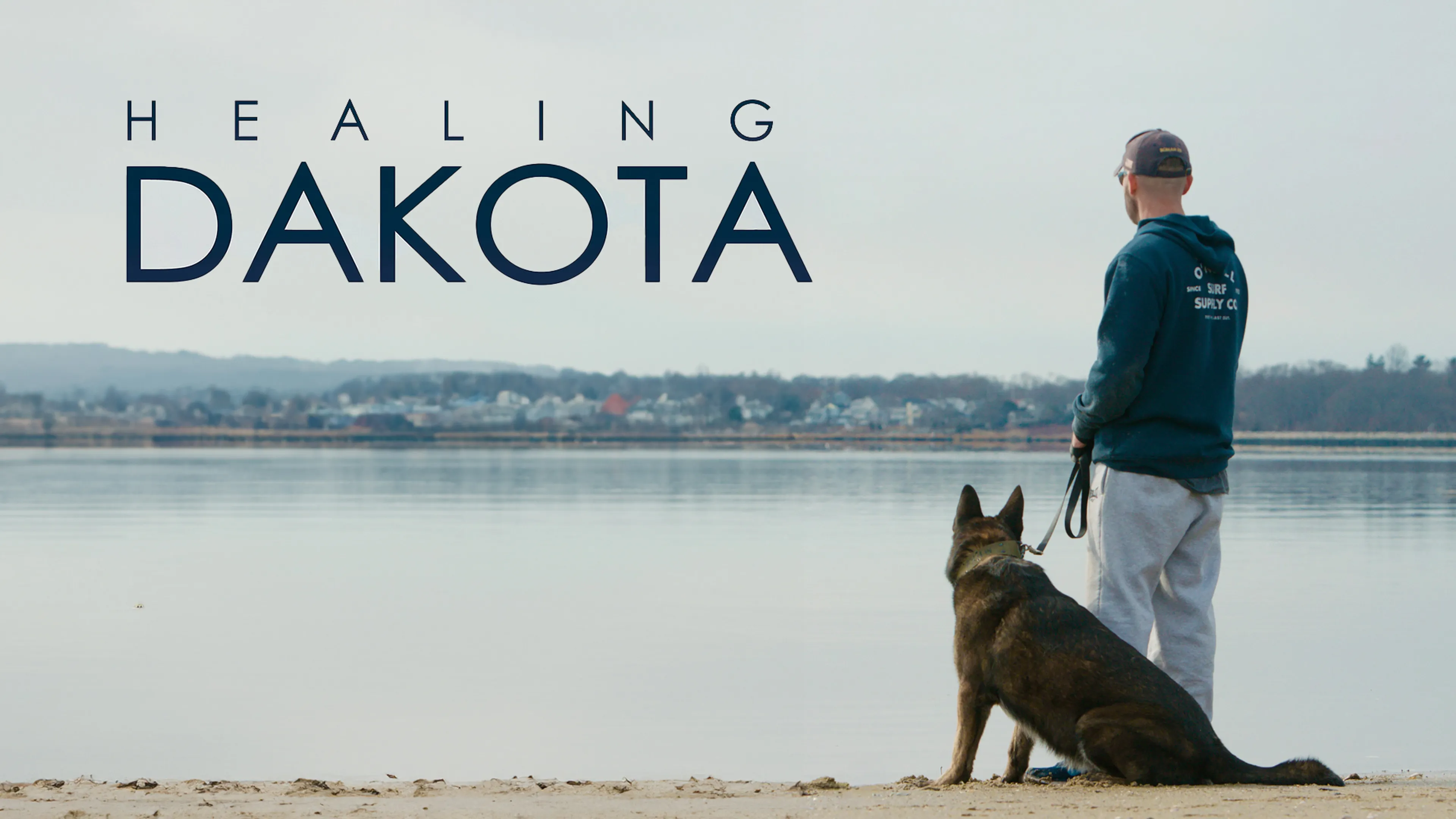Healing Dakota poster